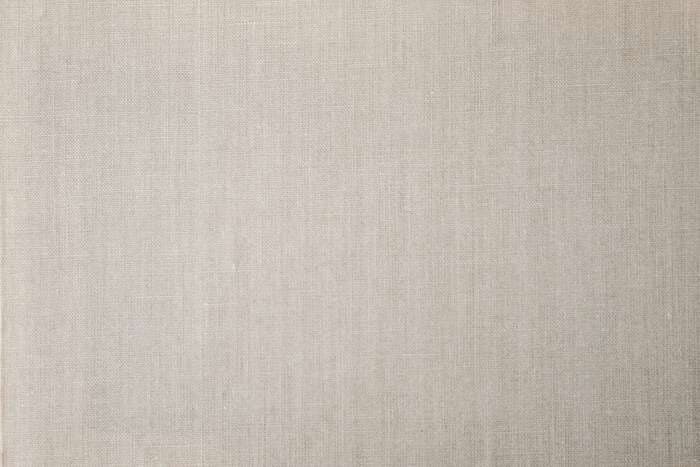 Café Nenesse photo 2