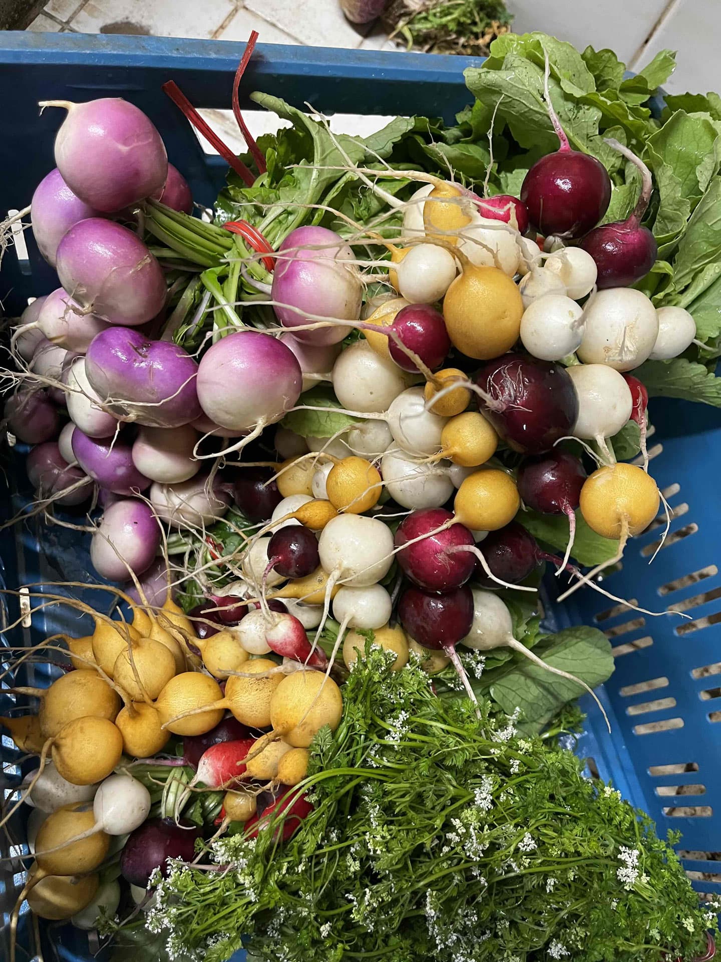 Le canut et les gones photo 3