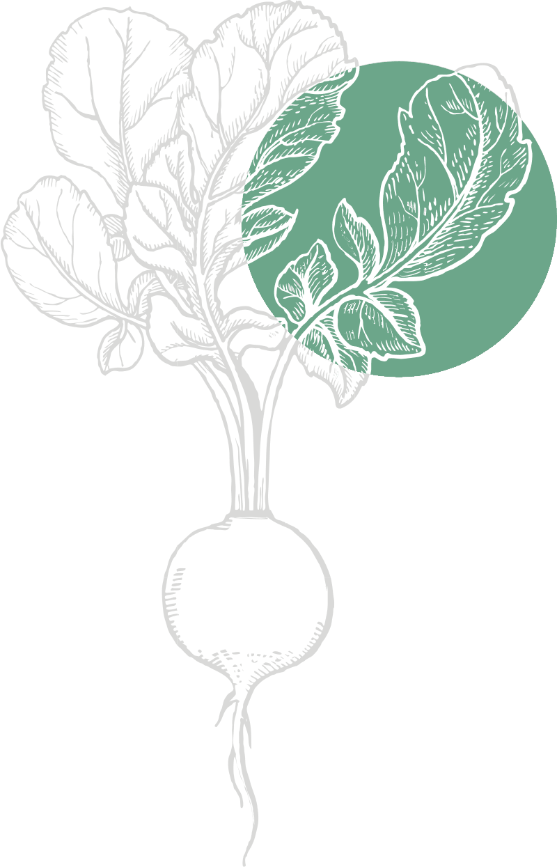 Le Jean Moulin photo 1