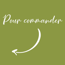 Les pins d'Alep photo 2