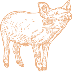 Café des Fédérations photo 3