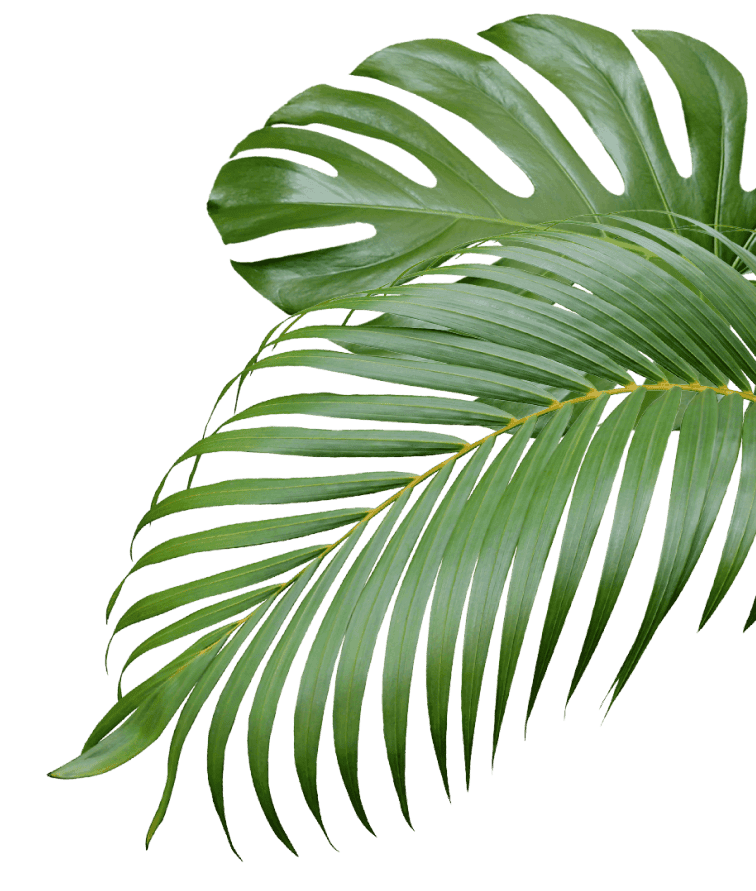 Rodizio Brazil photo 7