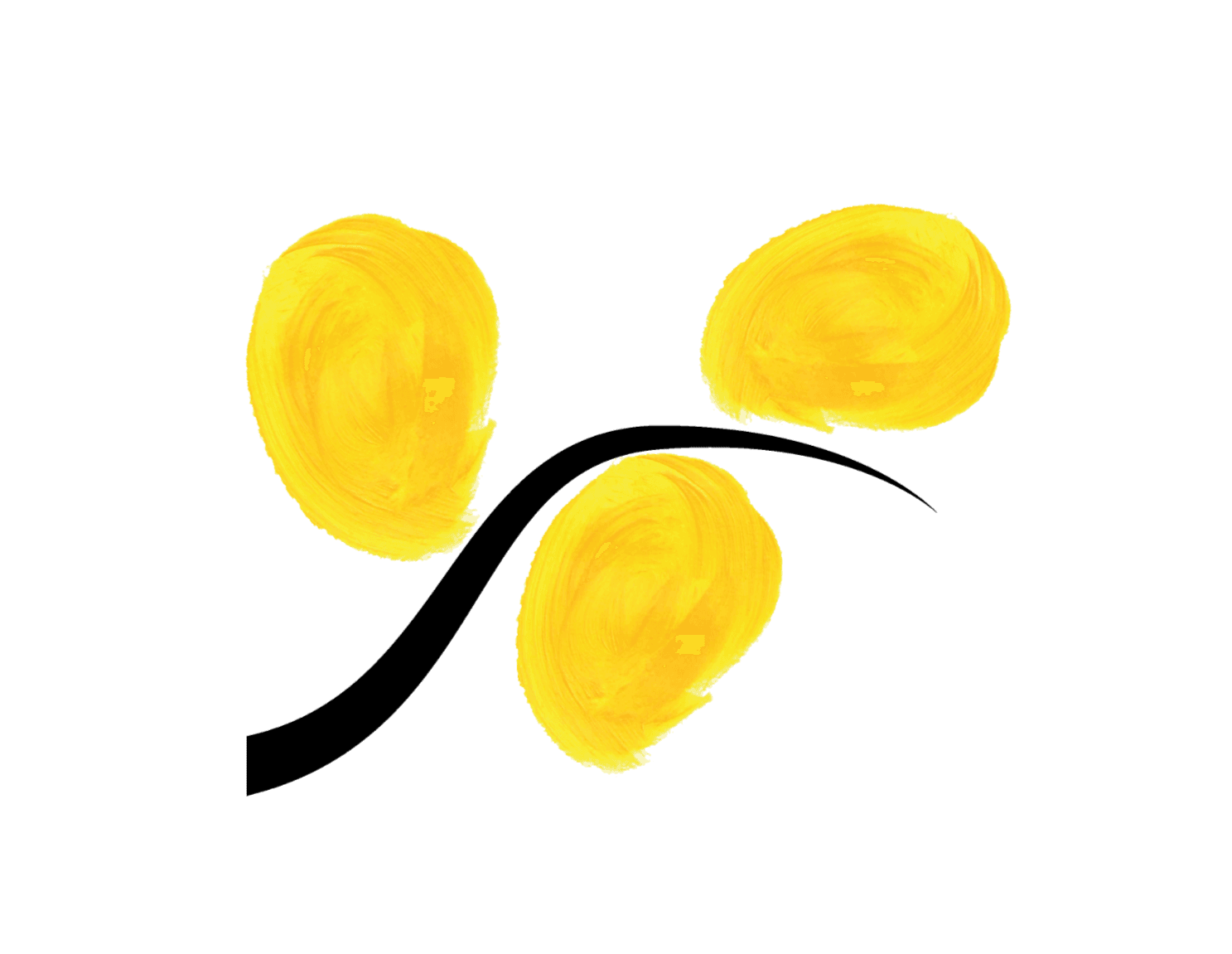 Les mimosas du cours