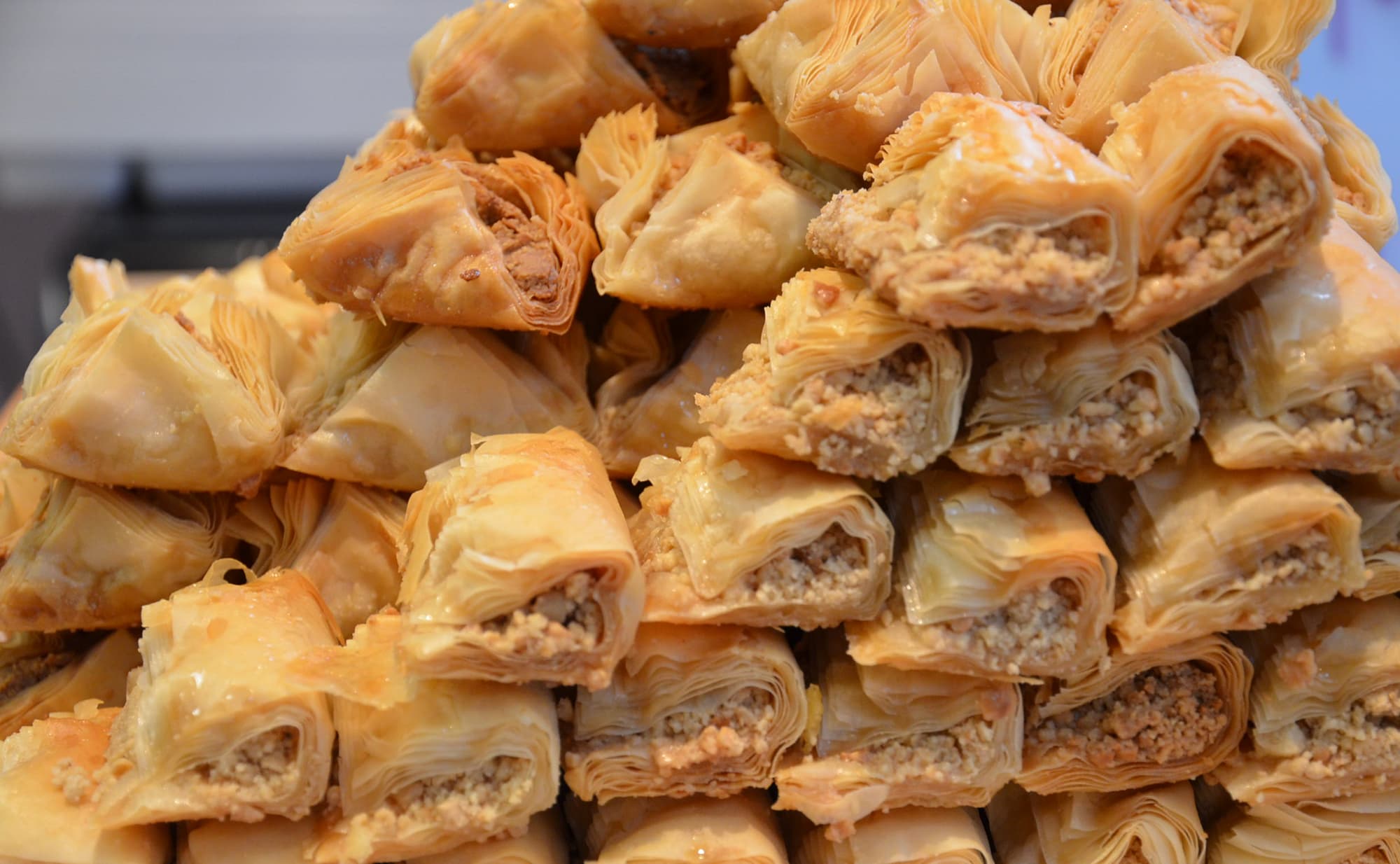 Le Bois le Vent photo 4