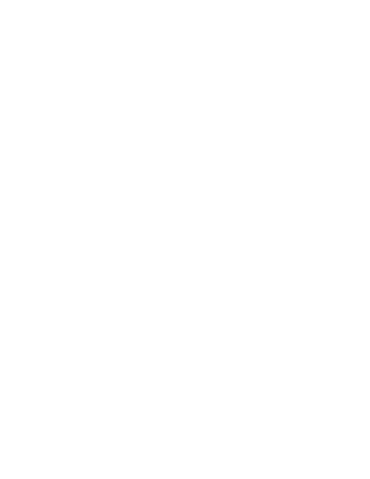 Burger et Ratatouille photo 8