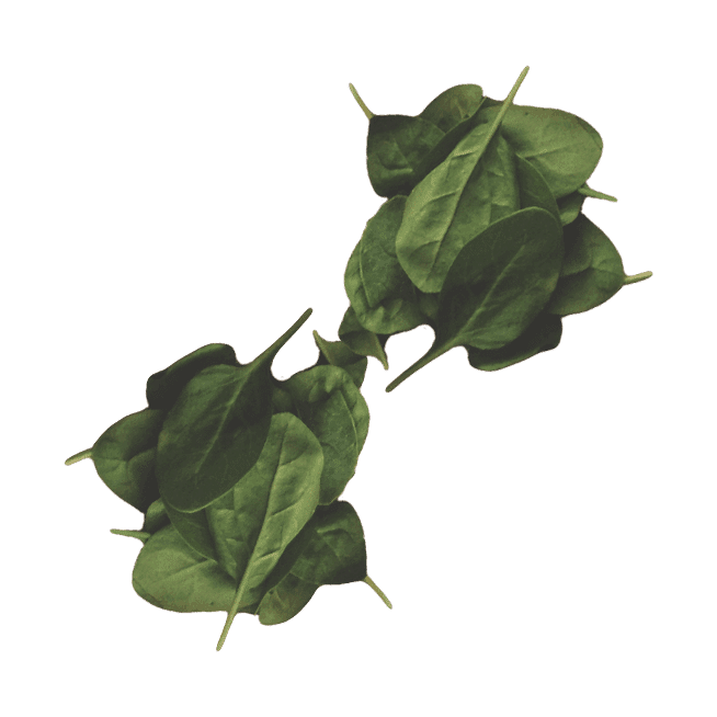 C-Gastronomie photo 6