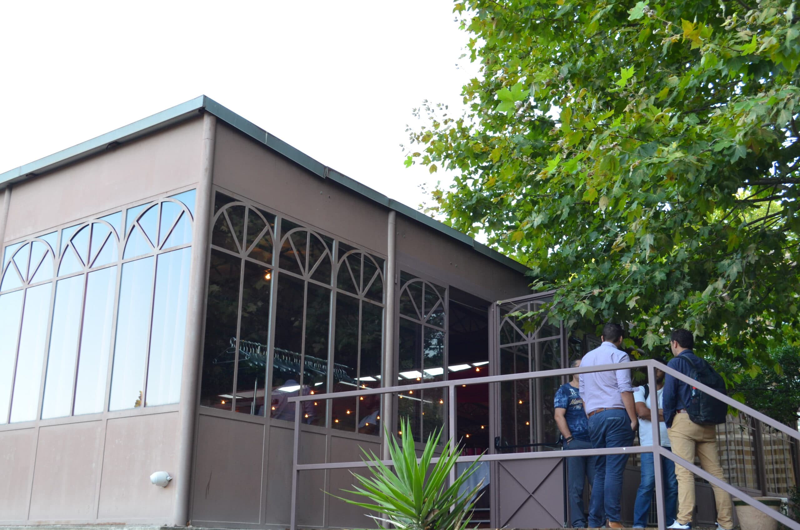 Le Grand Arbre photo 8