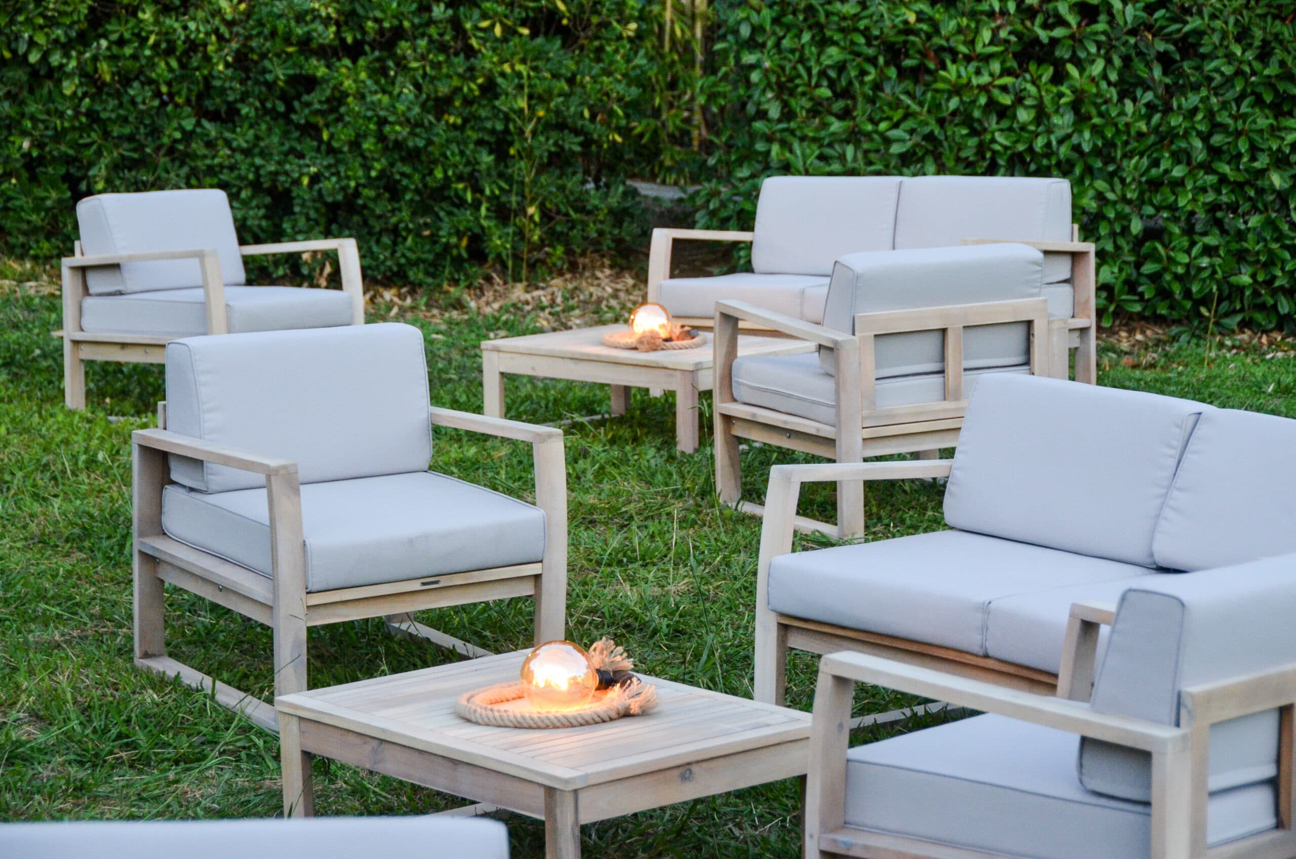 Le Grand Arbre photo 7