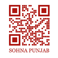 Sohna Punjab photo 4