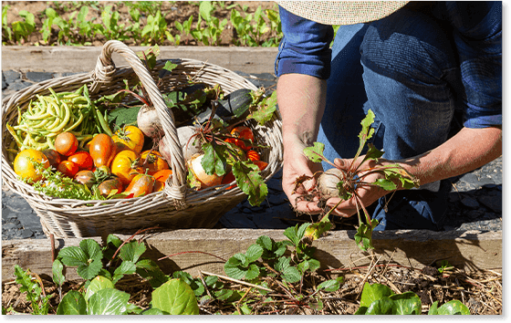 Une Table à Deux photo 5
