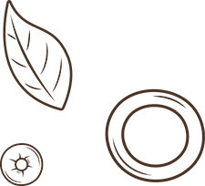 Elmazaj Lebanese Restaurant